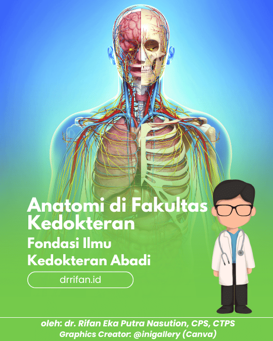 Anatomi di Fakultas Kedokteran: Fondasi Ilmu Kedokteran yang Abadi