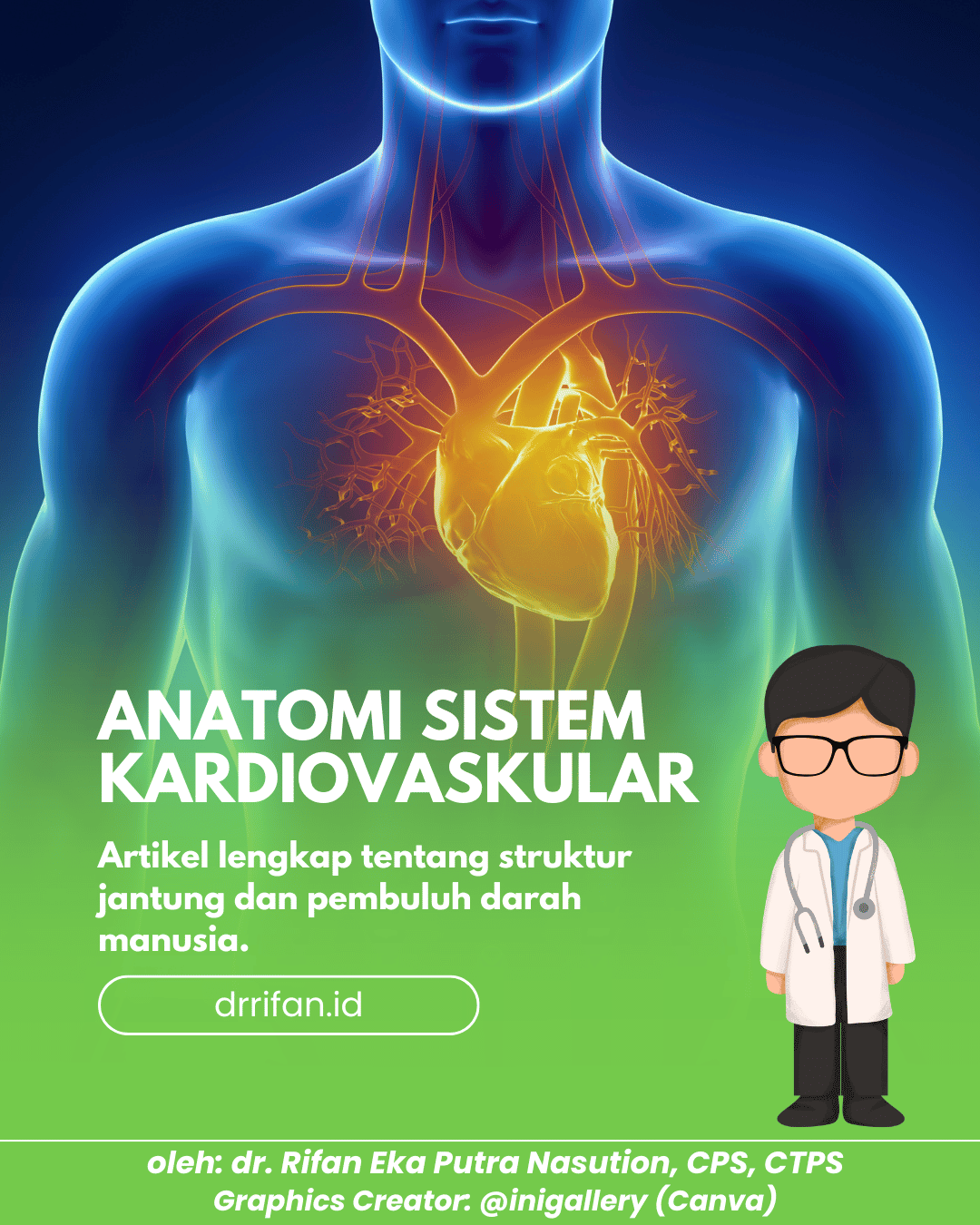 Anatomi Sistem Kardiovaskular