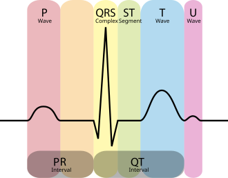 gambaran gelombang ekg normal